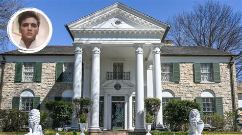 myflixer graceland|Graceland .